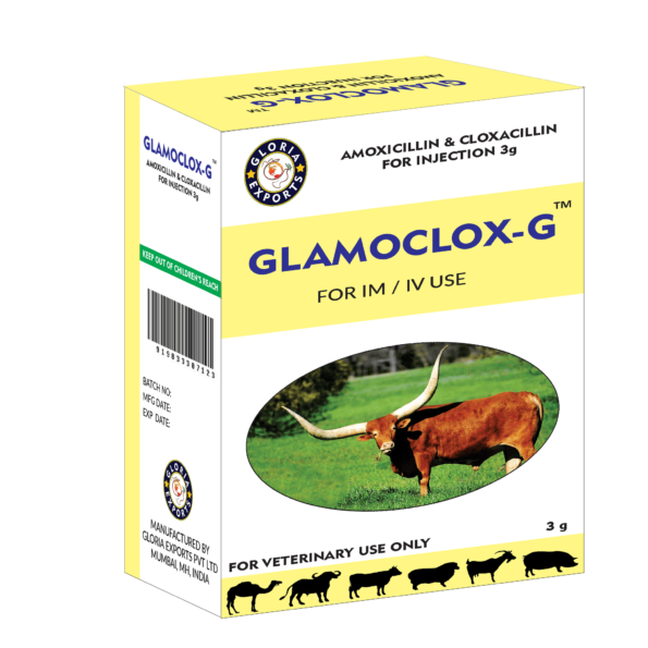 Glamoclox G - Amoxicillin & Cloxacillin Injection