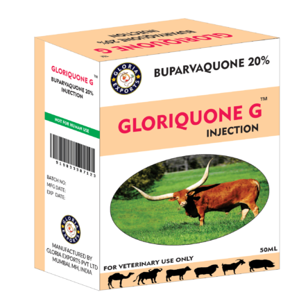 Gloriquone G Injection – Buparvaquone 20%