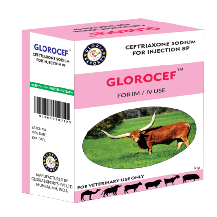 Glorocef – Ceftriaxone Sodium for Injection