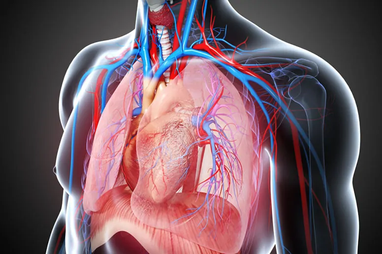 Cardio Thoracic Surgery