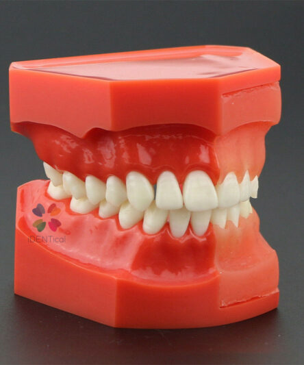 base_4