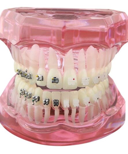 ld-0863003pink