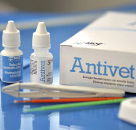 antivet-1