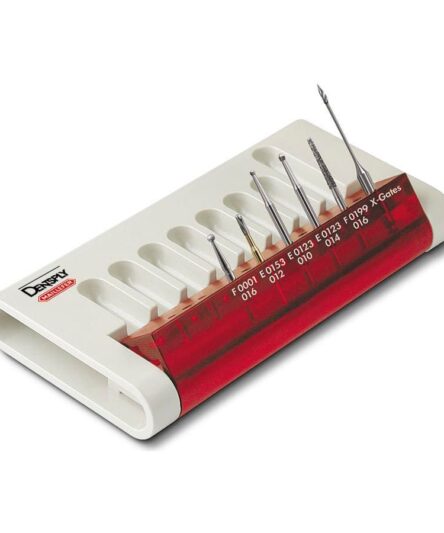 dentsply-cavity-access-set