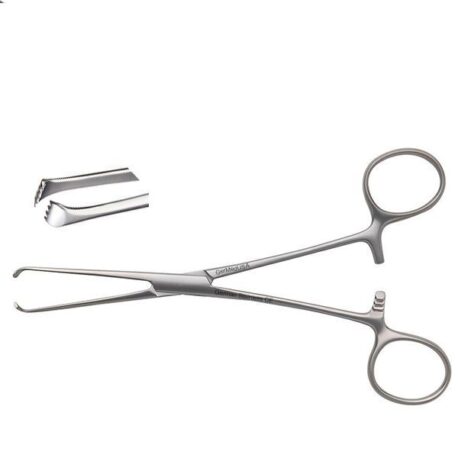 allis forceps 1 1