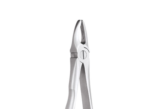 GDC Extraction Forceps Upper Anteriors - 1 Ergonomic (Fx1e)