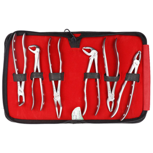 Api Forceps Set of 6 Autraumatic