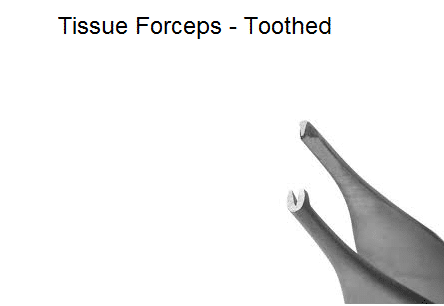 tissue_forceps