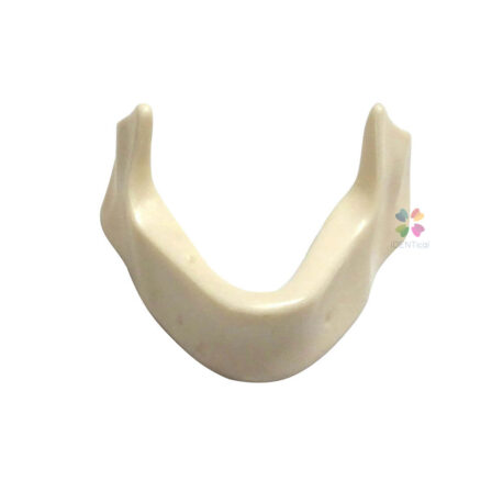 iDENTical Implant Practice Mandible Jaw Model M2025 (1 Piece)