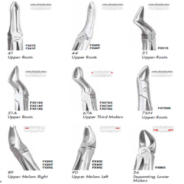 GDC Extraction Forceps Premium