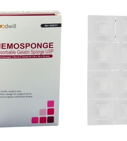 Goodwill Hemosponge 10x10x10 mm Absorbable Gelatin Sponge 32/pk - AGS111
