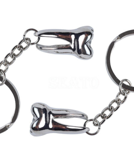 tooth_key_chain_2