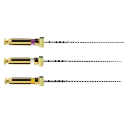 Dentsply PathFile 21 mm 019