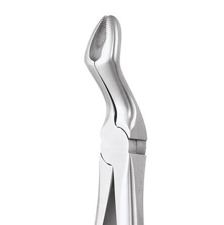 GDC Extraction Forceps Upper Third Molars - 67a Premium (Fx67ap)