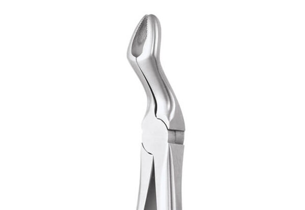 GDC Extraction Forceps Upper Third Molars - 67a Premium (Fx67ap)