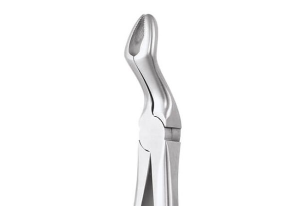 GDC Extraction Forceps Upper Third Molars - 67a Standard (Fx67as)
