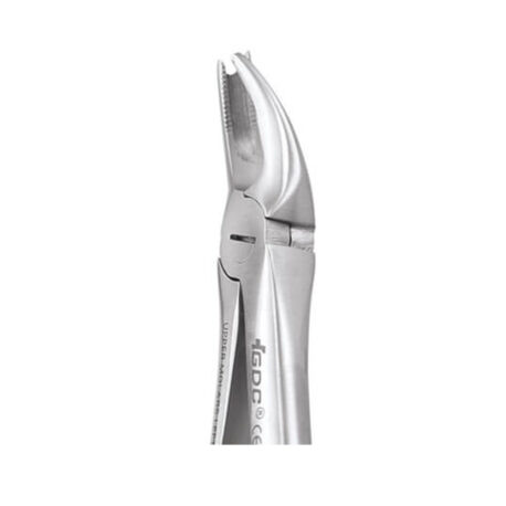 GDC Extraction Forceps Upper Molar Right Premium Cowhorn - FX89P