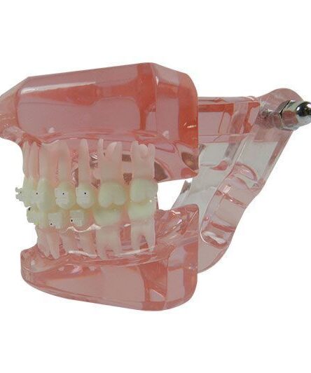 ld-0863003pink