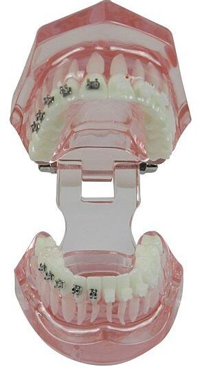 ld-0863003pink
