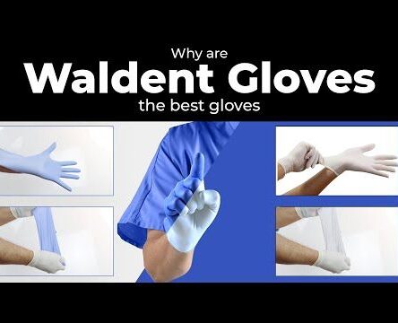 waldent_examination_gloves