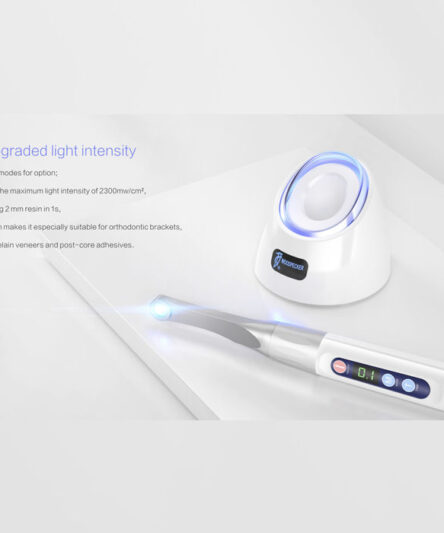 iledplus