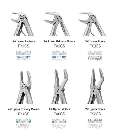 pedo_forcep_base1