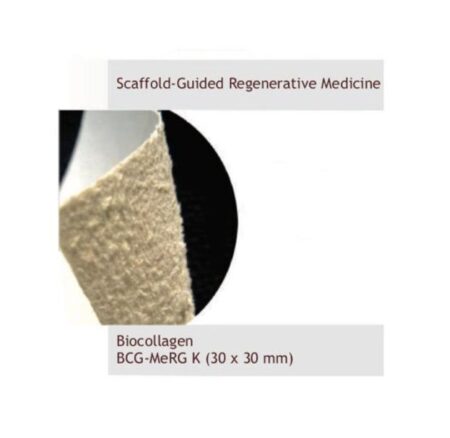 Bioteck Regenerative Barrier Membrane