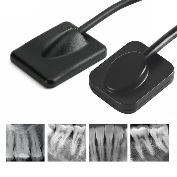 Endoking Dental RVG Sensor Standard Size 1 (Pedo)