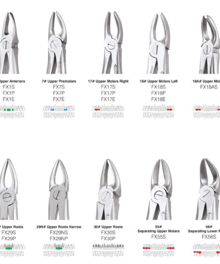 standard_forcep7_2