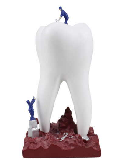 tooth_1