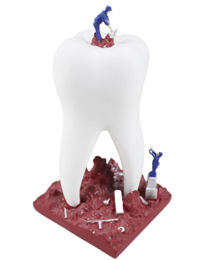 Dental Sculpture with 2 Small Craftsman MD - 112