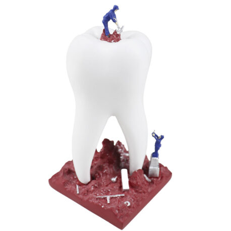 Dental Sculpture with 2 Small Craftsman MD - 112