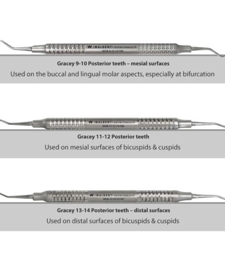 waldent-gracey-curettes-set-of-7-with-cassette_1_