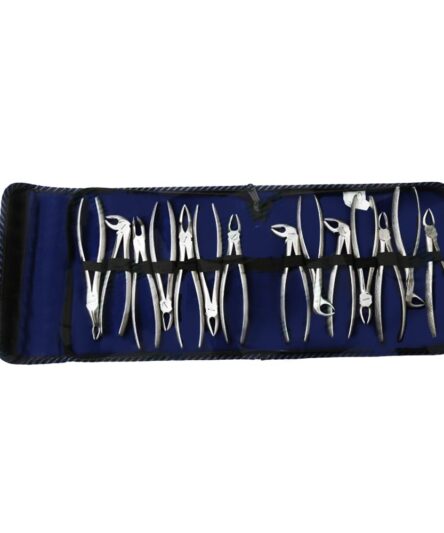 API Premium Extraction Forceps Kit (Set of 12)