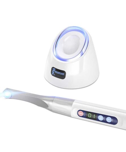 iledplus