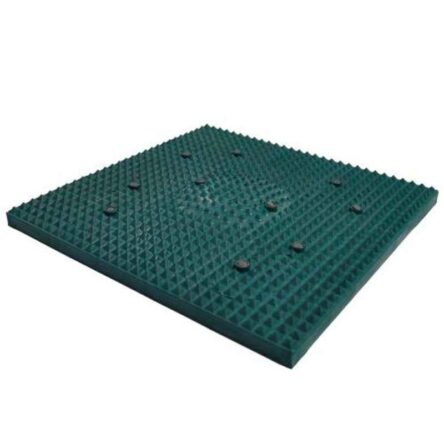 Deemark Junior Acupressure Mat Walking Exerciser