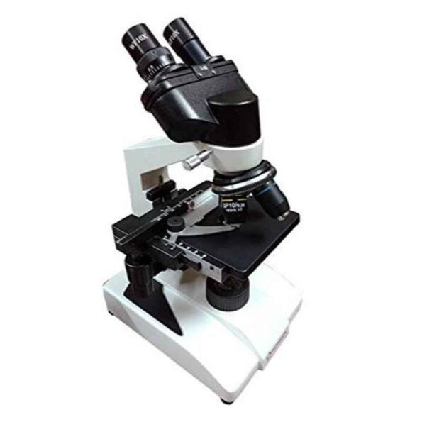 LAB020