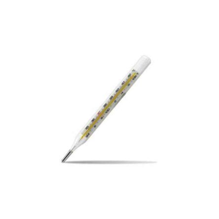 Hicks Oval Digital Clinical Thermometer (Pack of 2)