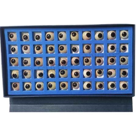PSW Eye Artificial Prosthetic