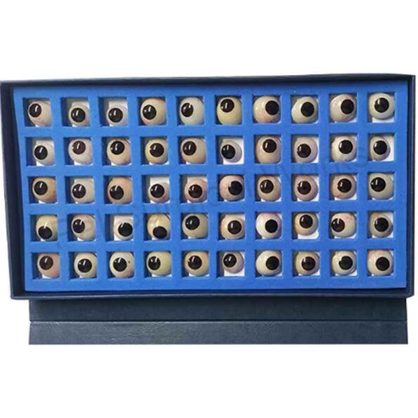 PSW Eye Artificial Prosthetic
