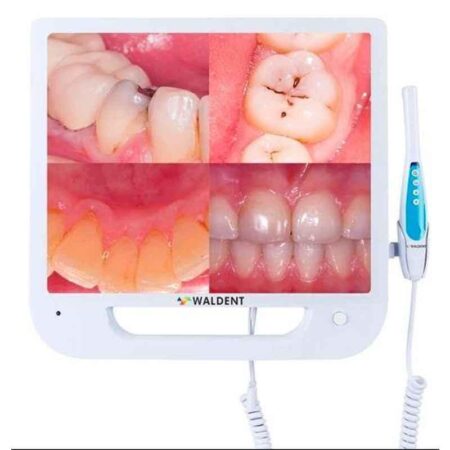 Waldent Intraoral TV Model