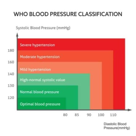 BPL 120-80-B18 White Digital Blood Pressure Monitor with USB Compatibility