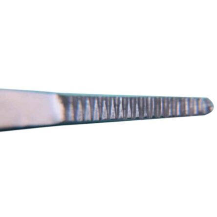 KDB 12 inch Stainless Steel Tooth Dissecting Forceps