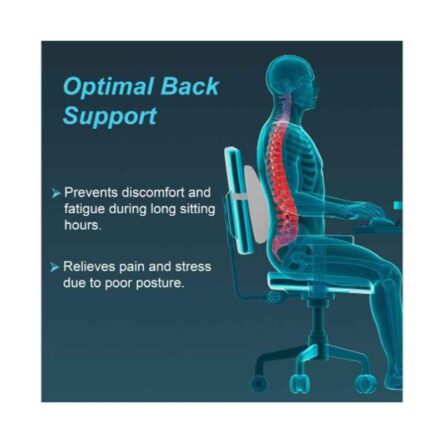 Tynor Polyurethane Foam Grey Lumbo Back Rest