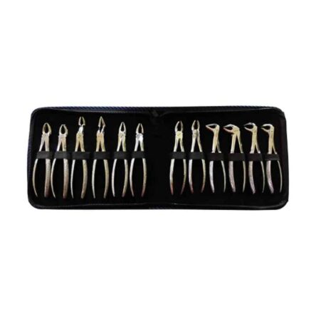 Forgesy GSS83 12 Pcs Stainless Steel Adult Tooth Extraction Forceps Kit