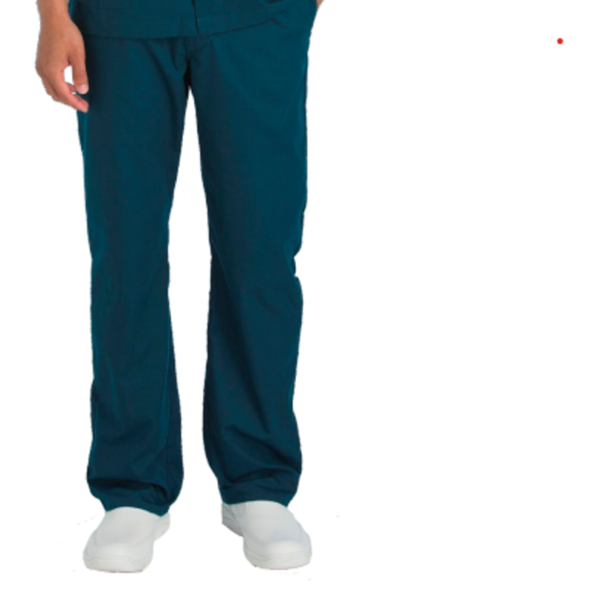 Protect U Medium Navy Nurse Pant for Men