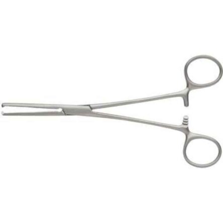 Forgesy 6 inch Stainless Steel Straight Kochers Artery Haemostat Forcep