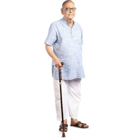 Entros Height Adjustable Aluminum L-Shaped Folding Single Walking Stick