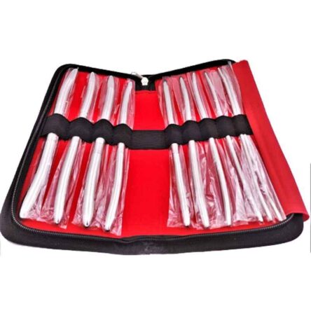 Forgesy 10 Pcs Stainless Steel Double Ended Hegar Uterine Dilators Set with Carrying Case