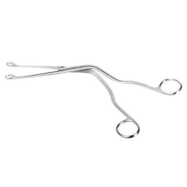 CR Exim 55-100g Polished Finish Stainless Steel Magill Forcep (Pack of 3)